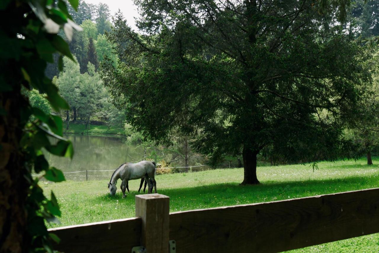 Manoir De Chantemerle Sainte-Fortunade Eksteriør bilde