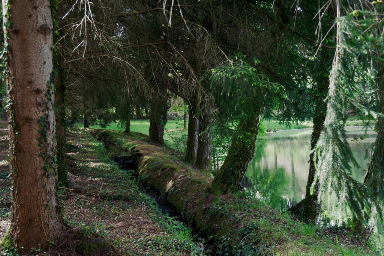 Manoir De Chantemerle Sainte-Fortunade Eksteriør bilde